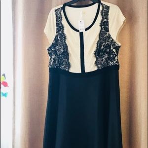 NWT. Gold and black dress